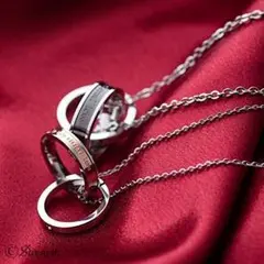 【永遠の愛】 ステンレス ペアネックレス セット お手入れ用クロス付き