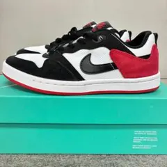 NIKE SBナイキ レディーススニーカースケシュー スケートシューズ 24