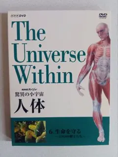 ジンベイ様 リクエスト 2点 まとめ商品