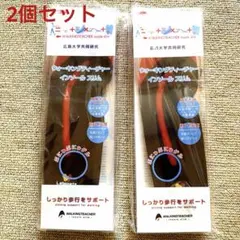ウォーキングティーチャー インソール スリム 23〜23.5㎝　2個セットのサムネイル