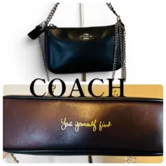 新品級COACH accesarybag sholderbagアクセサリーバック