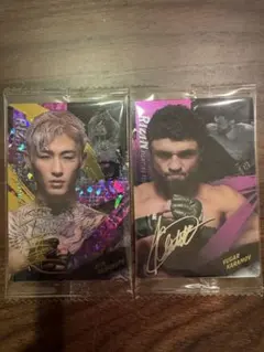 Item thumbnail for item f6ca3486-80b8-465a-8566-0b905f417510