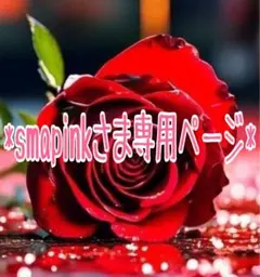 *smapink様専用ページ*
