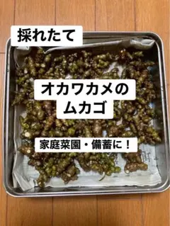 慶 谷口様 リクエスト 6点 まとめ商品