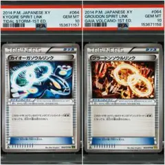 2026年最新】グラードン カイオーガ psa10の人気アイテム - メルカリ