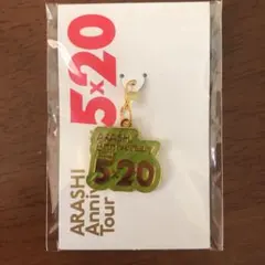 嵐 5x20 会場限定 チャーム  緑 東京 前半