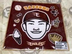 Item thumbnail for item cdae993d-665d-4bec-90f5-06003f2b4484