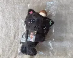 NCT WISH リク log in キャラクターバッグ ぬいくるみ バッグ