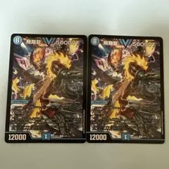 匿名・翌日発送】飛翔龍5000VT 2枚 - メルカリ