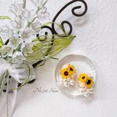 No.332　ひまわりとパール　本物のお花のピアス　イヤリング　向日葵