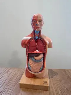 Item thumbnail for item a1aa06c4-388d-4d34-8f06-32c7fdfa42ee