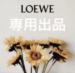 韓国/枯れない花/フラワーモールクマさんミニブーケ