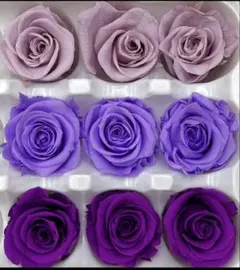 バラ 3色アソート2-3cm9輪 プリザーブドフラワー