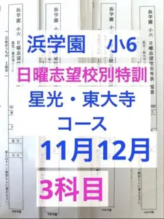 未記入浜学園小6 マスター理科Vクラス復習テスト実力〜No.39 2024年度 k浜学園 小6 2021年〜2023年度 3年分 4科目 公開