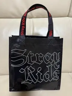 スキズ アプグレ特典 미개봉