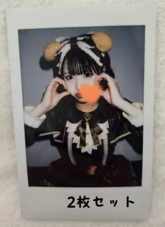 iLiFE! 小熊まむ ランチェキ 2枚セット