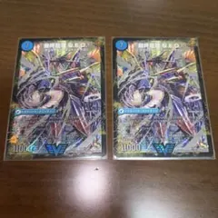 即日発送】デュエルマスターズ そして覚醒へ 2枚セット シークレット