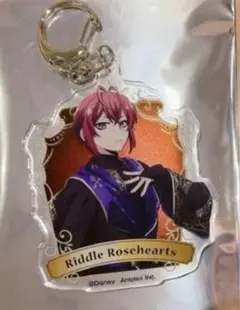 ツイステッドワンダーランド アクリルキーホルダー2点