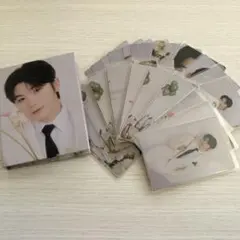 SEVENTEEN セブチ FML ウジ Carat盤 トレカ