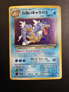 2026年最新】わるいギャラドス psa10の人気アイテム - メルカリ