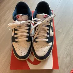 Nike Dunk Low Retro 10 VALERIAN BLUE
