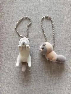 フロッキーマスコット しばいぬ タヌキ 2点セット