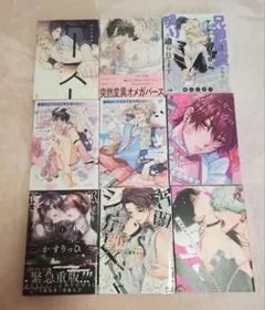 商業BL 9冊セット