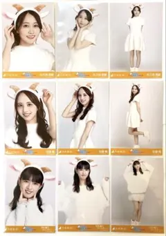 乃木坂46 ランダム生写真 ごんぞうカチューシャ コンプ 3種 まとめ売り