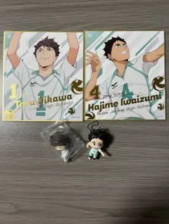ハイキュー!! 及川徹 岩泉一 ミニ色紙 キーホルダー フィギュア セット