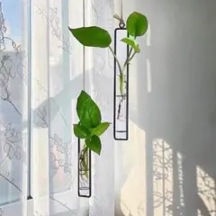 ２本セット ハンギングフラワーベース ブラック インテリア雑貨　観葉植物