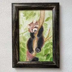 アクリル画　レッサーパンダ　原画　手描き　額付き