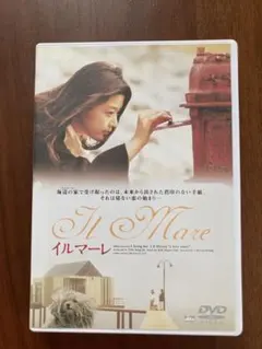 【韓国】イルマーレ DVD チョン・ジヒョン　イ・ジョンジェ
