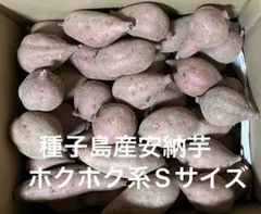 種子島産安納芋紅ホクホク系Sサイズ5.2kg