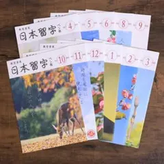 日本習字 ペン部 手本（令和7年4月〜令和8年3月、7月号欠品）全11冊セット