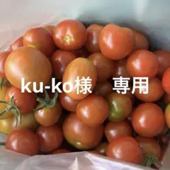 ku-ko様　専用のサムネイル