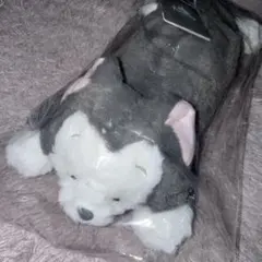 ディズニーストア フィガロ ペンケース