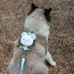 Item thumbnail for item 0d04cfe8-d123-4224-9d09-ecf8ef90f23c