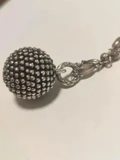 ボッテガ・ヴェネタ　ロング　ネックレス　Bottega Venetaのサムネイル