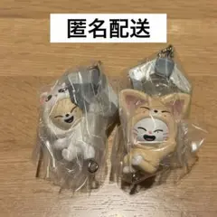 skzoo がちゃ つまつな フォクシニー ジニレット 2種セット