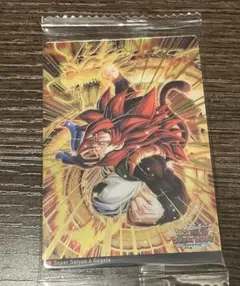 K*I様 ドラゴンボール イタジャガ DSR 9-10