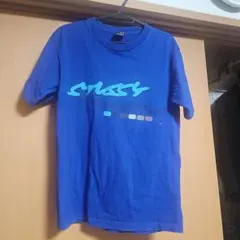 Stussy グラフィック Tシャツ 青