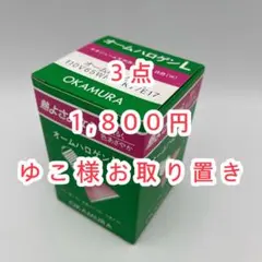 OKAMURA オームハロゲン 110V65W E17 ハロゲン 2個セット