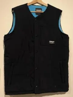 ダウンベスト ベスト