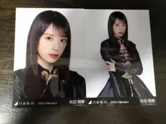 乃木坂46 矢田萌華 生写真 セミコンプ 2026 スペシャル衣装48