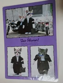 2025年最新】下敷き なめ猫の人気アイテム - メルカリ