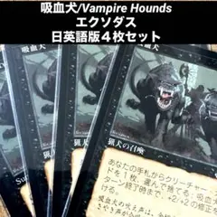 2026年最新】MTG旧枠の人気アイテム - メルカリ