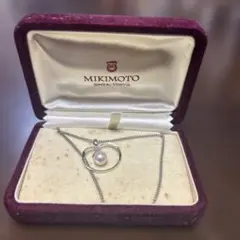 Item thumbnail for item 67fd41b0-15d8-4d1a-8a81-c3757e81386c