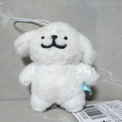 Maltese　モルチーズマスコット　　ぬいぐるみ