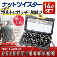 ナットツイスター 14点セット サビ 潰れ 抽出 ナット ネジ ボルト リムーバ
