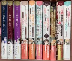 【追加分有り1/18】　bl小説 まとめ売り　セット